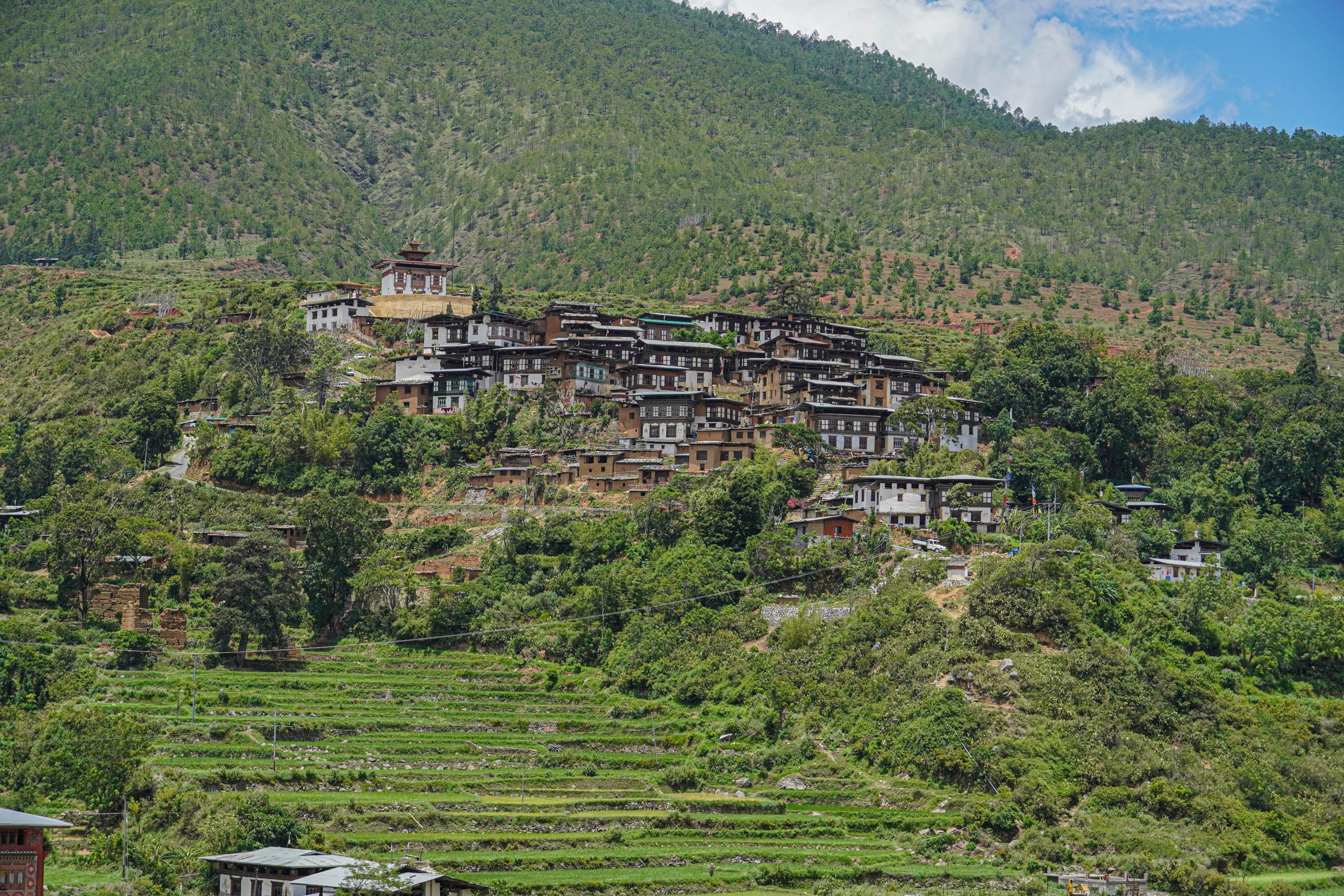 Marathon & Endurance Races